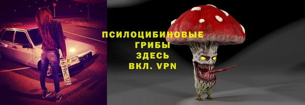 спиды Богданович