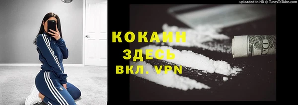 соль ск Богородицк