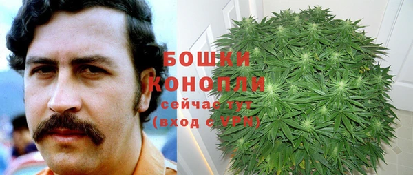 спиды Богданович