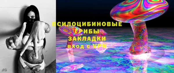 спиды Богданович
