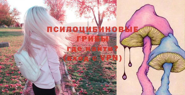 соль ск Богородицк
