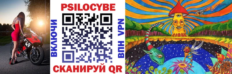 Галлюциногенные грибы Psilocybine cubensis  Каменск-Шахтинский 